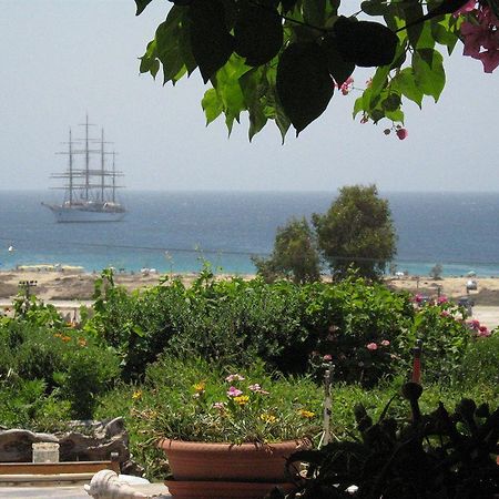 Studios Diogenis Naxos City Exteriör bild